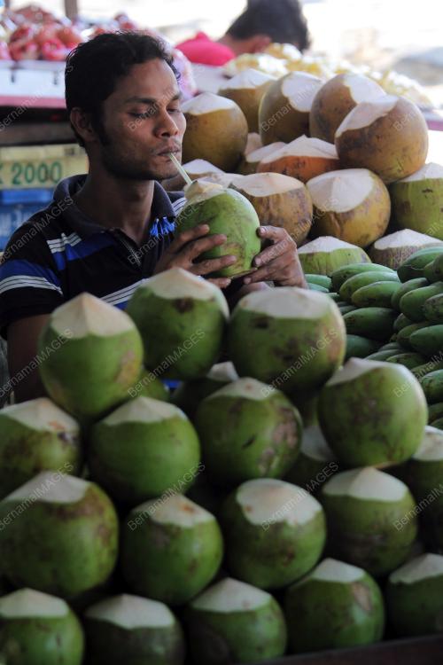 PH11_27022015_KELAPA