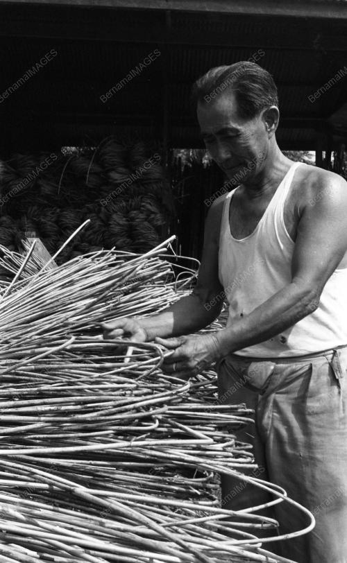 PH11_28012015_ROTAN