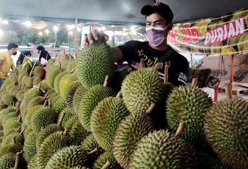 PENJAJA DURIAN MASA PKPB