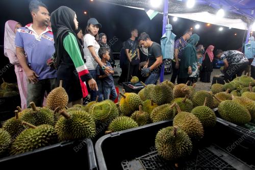 GERAI MENJUAL BUAH DURIAN