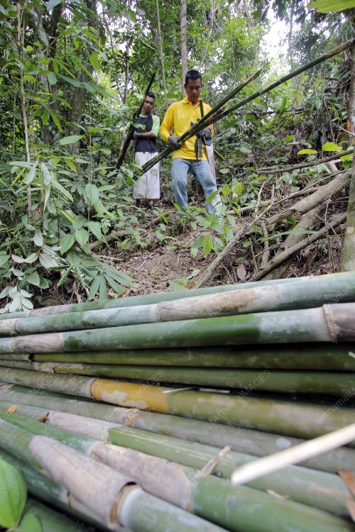 PH12_01082013_BULUH_LEMANG