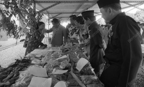 PH12_09032015_PAMERAN_PERUBATAN