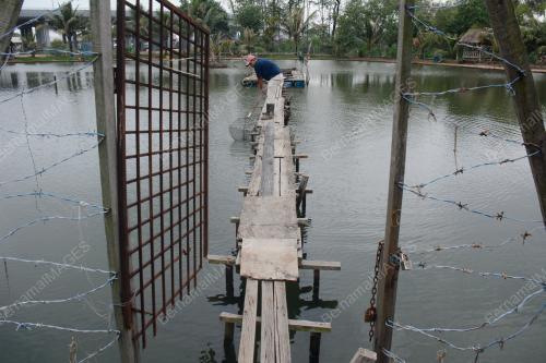 KOLAM MEMANCING