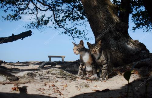 PANTAI SEPAT SEMASA PKPB