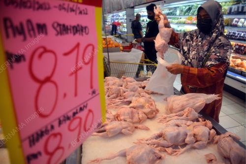 HARGA AYAM SUBSIDI