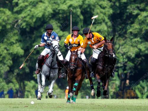 POLO