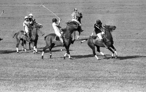 PH12_14072015_POLO