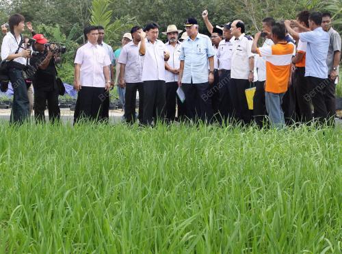 PH12_15012012_PM_KOMUNITI