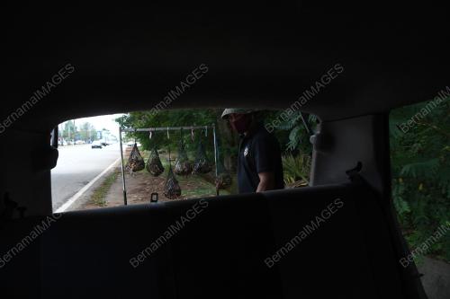 PENIAGA MEMAKAI PELITUP MUKA
