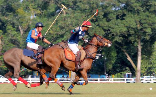 POLO