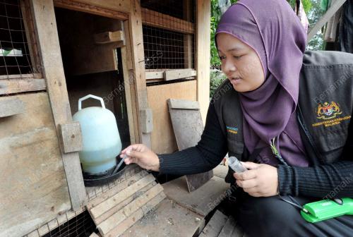 OPS GEMPUR AEDES