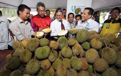 DATUK DR DAING NASIR IBRAHIM