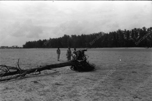 HAKISAN PANTAI