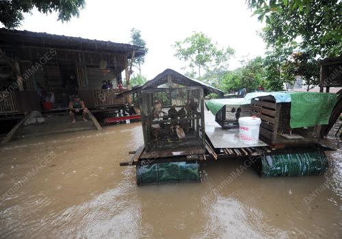 PH12_23122014_BANJIR