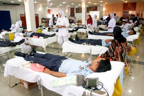 DERMA DARAH