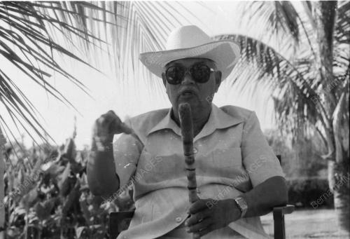 DATUK BANDAR