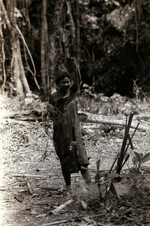 SUKU KAUM ASLI BATEK KUALA TAHAN
