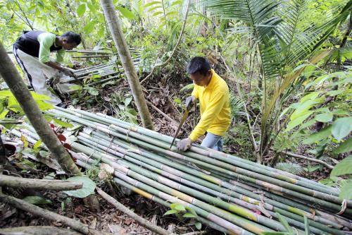 PH13_01082013_BULUH_LEMANG
