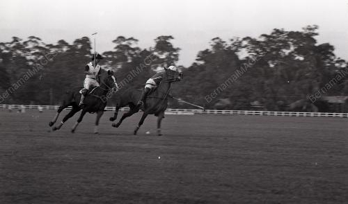PERTANDINGAN POLO