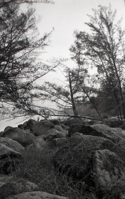 PH13_12012015_PANTAI_TERUNTUM