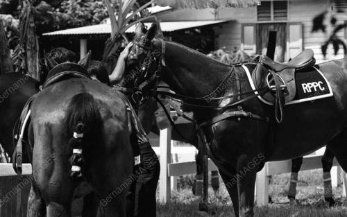 PH13_14072015_POLO_ANTARABANGSA