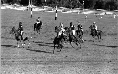 PH13_14072015_POLO