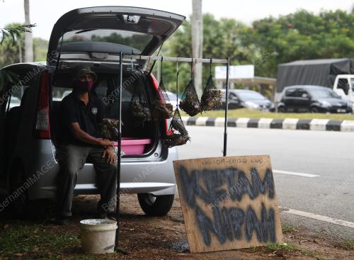 PENIAGA MEMAKAI PELITUP MUKA