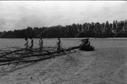 HAKISAN PANTAI