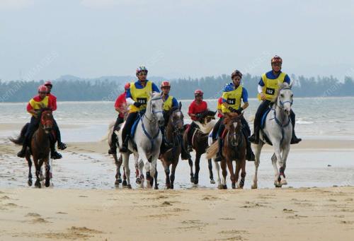 TUANKU MIZAN ZAINAL ABIDIN