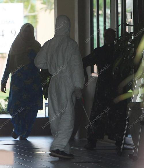 H1N1