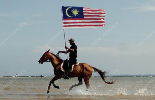 MENUNGGANG KUDA KIBAR JALUR GEMILANG