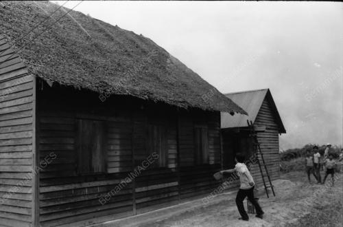 Kebakaran lalang