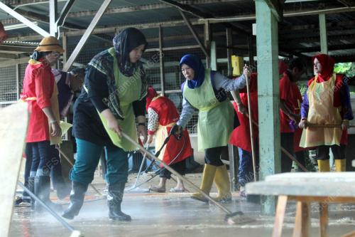PH14_08012015_AZIZAH_CUCI