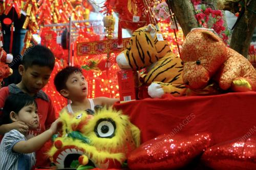 TAHUN BARU CINA