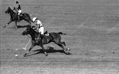 PH14_14072015_POLO