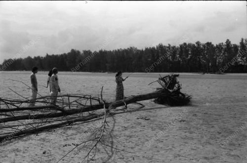 HAKISAN PANTAI