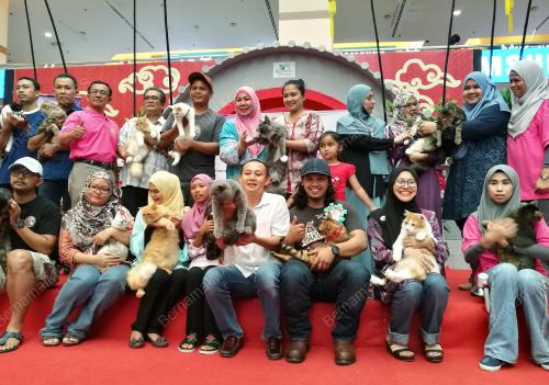 PH14_24022018_KUCING