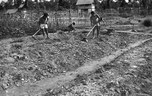 PH14_24062019_PENJARA_PENOR