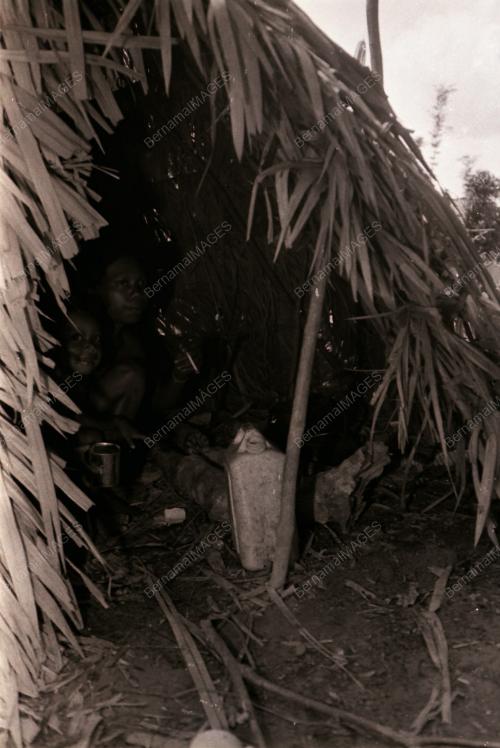 SUKU KAUM ASLI BATEK KUALA TAHAN