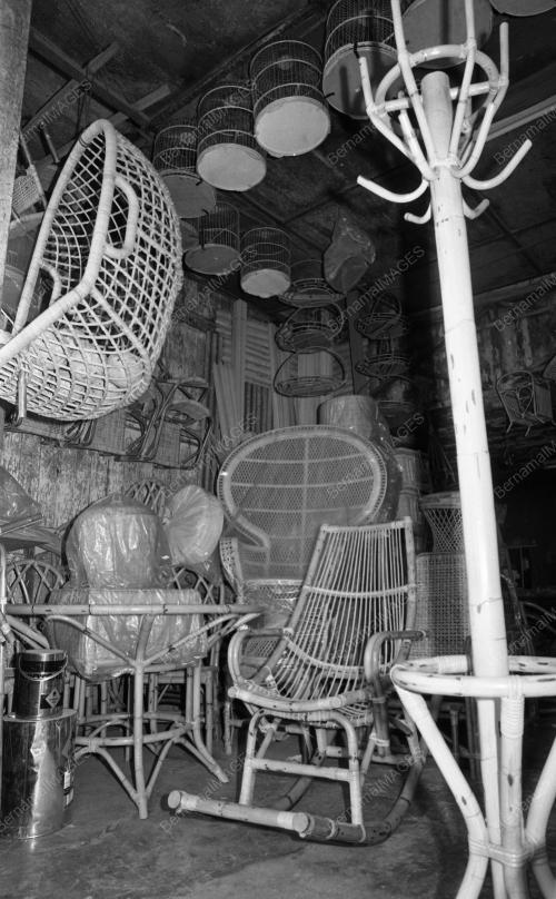 PH14_28012015_ROTAN