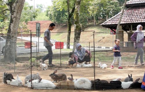 TINJAUAN AKTIVITI CUTI HUJUNG MINGGU