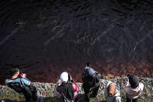 PENJAGAAN SUNGAI SEBAGAI SUMBER AIR PASTIKAN BEKALAN TIDAK TERGA