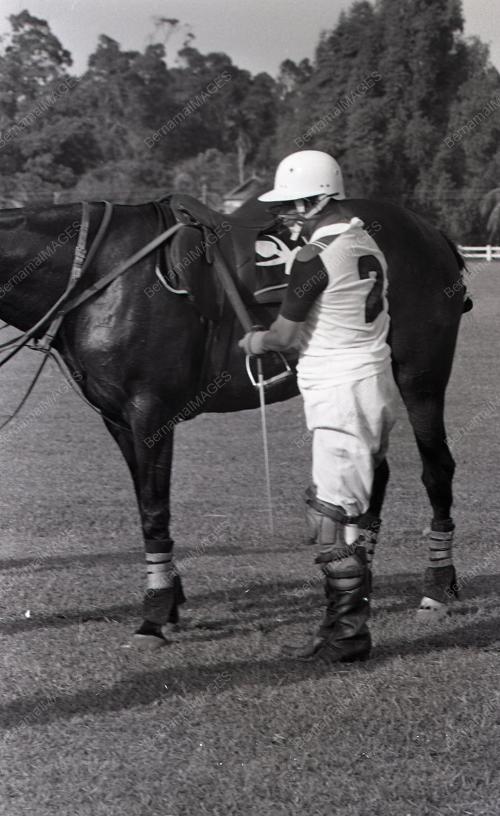 PERTANDINGAN POLO