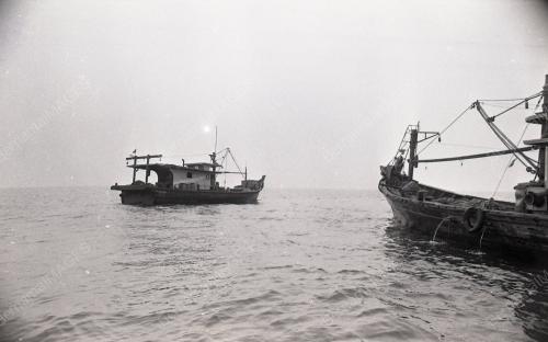 PENGARAH PERIKANAN