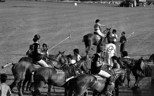 PH15_14072015_POLO
