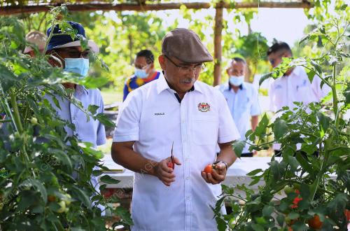 DATUK SERI DR RONALD KIANDEE