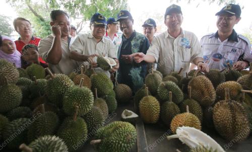 KEMPEN PILIHAN RAYA UMUM 12