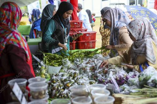 JUALAN AGRO MADANI