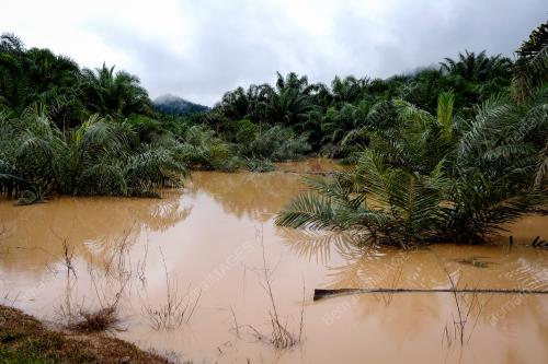 PAHANG_BANJIR