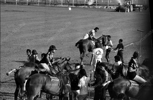 PH16_14072015_POLO